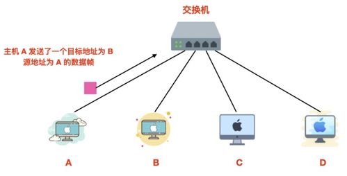 這一次，徹底拿下計(jì)算機(jī)網(wǎng)絡(luò)鏈路層——計(jì)算機(jī)網(wǎng)絡(luò)技術(shù)的開(kāi)發(fā)指南